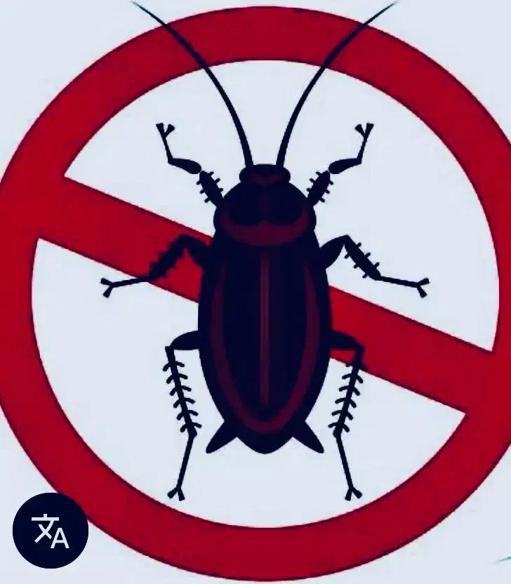 سمپاشی و ضد عفونی|خدمات نظافت|رشت, حاجی آباد|دیوار