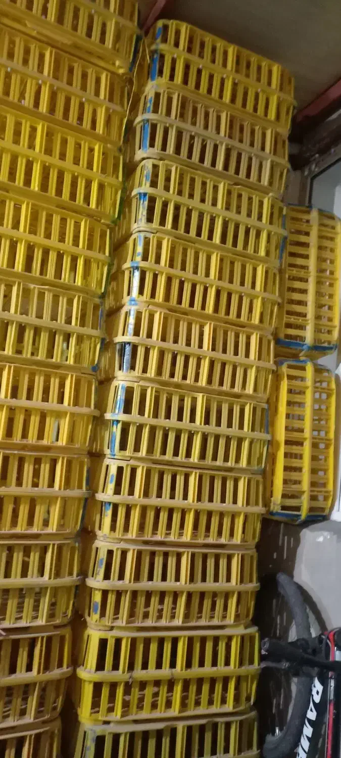 قفسه‌مرغ|لوازم جانبی حیوانات|دیواندره, |دیوار