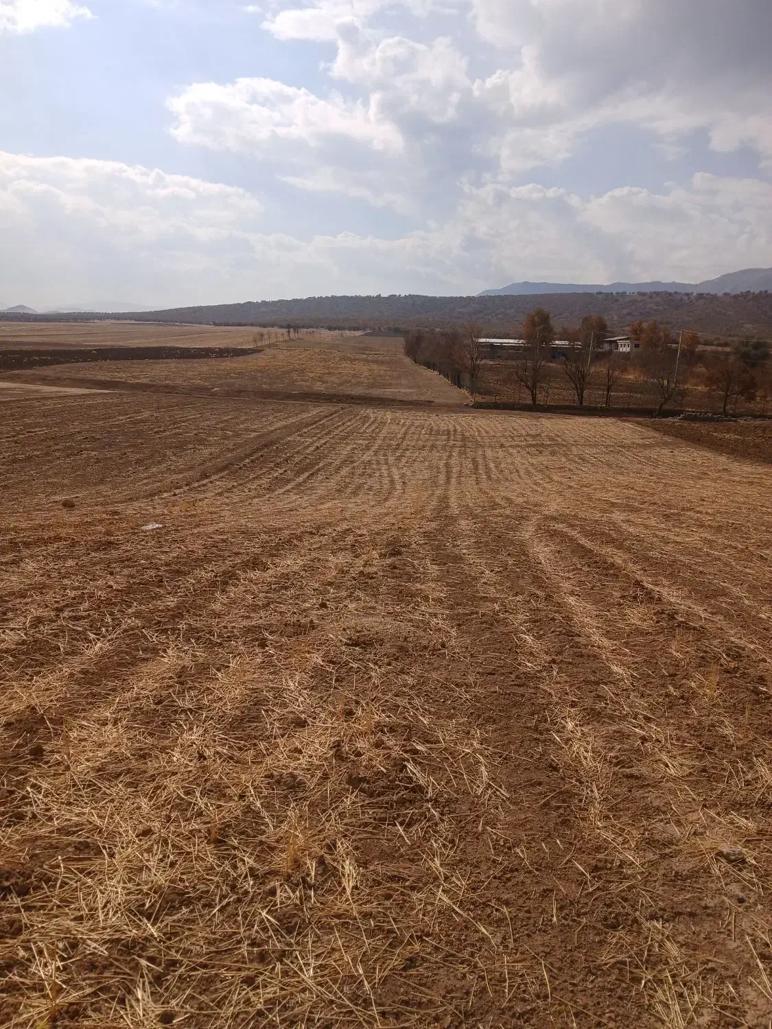 زمین باغ ویلا ومخصوص طرح گل خانه|فروش دفتر صنعتی، کشاورزی، تجاری|خرم‌آباد, |دیوار