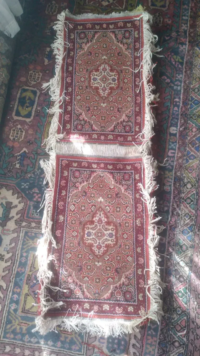 پادری ریزماهی دست بافت|فرش|اردبیل, |دیوار