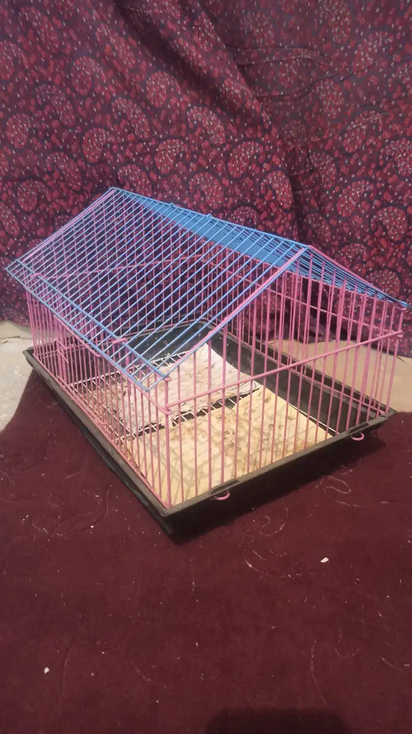 قفس|لوازم جانبی حیوانات|قزوین, |دیوار