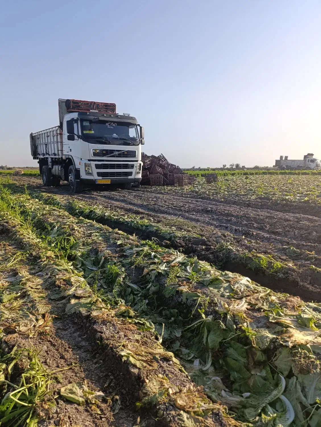 تک باری اف ام 9|خودرو سنگین|الیگودرز, |دیوار