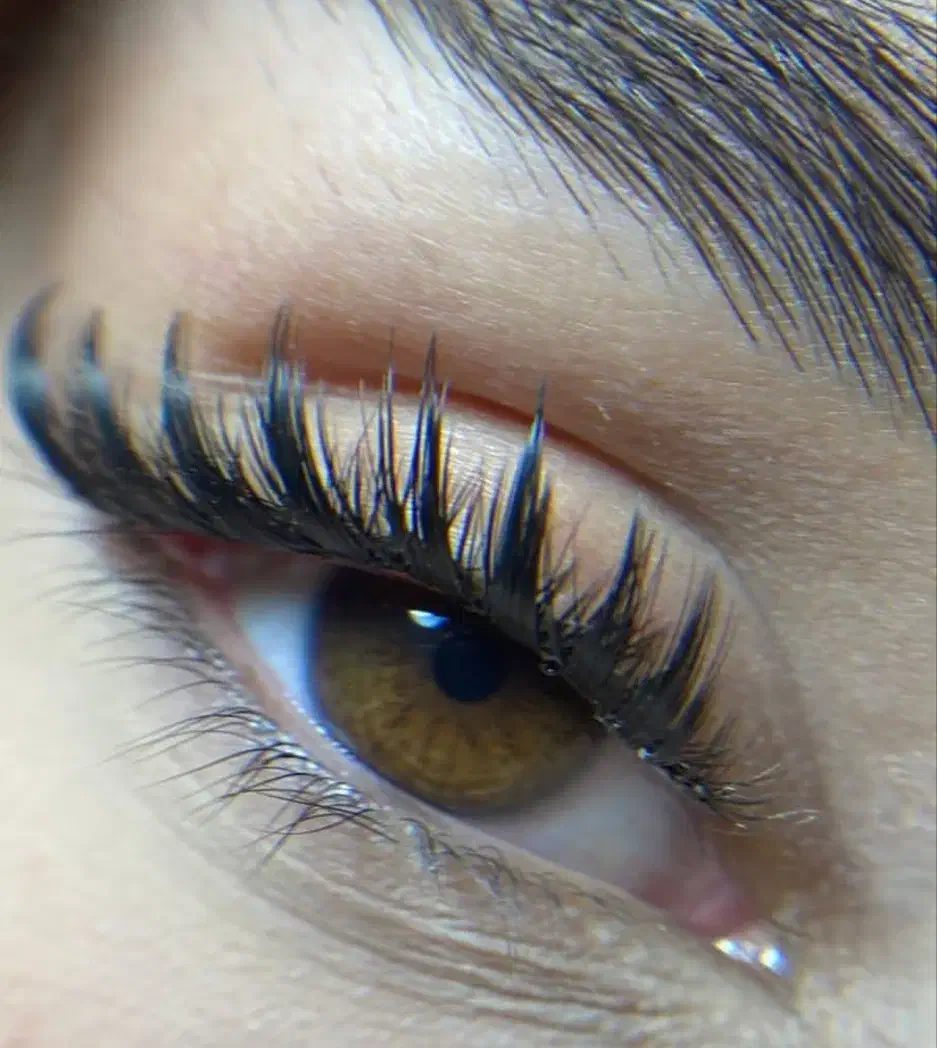 کاشت مژه باماندگاری بالا فقط 280 تخفیف تا شب یلدا|خدمات آرایشگری و زیبایی|اسلام‌شهر, شهرک مهدیه|دیوار