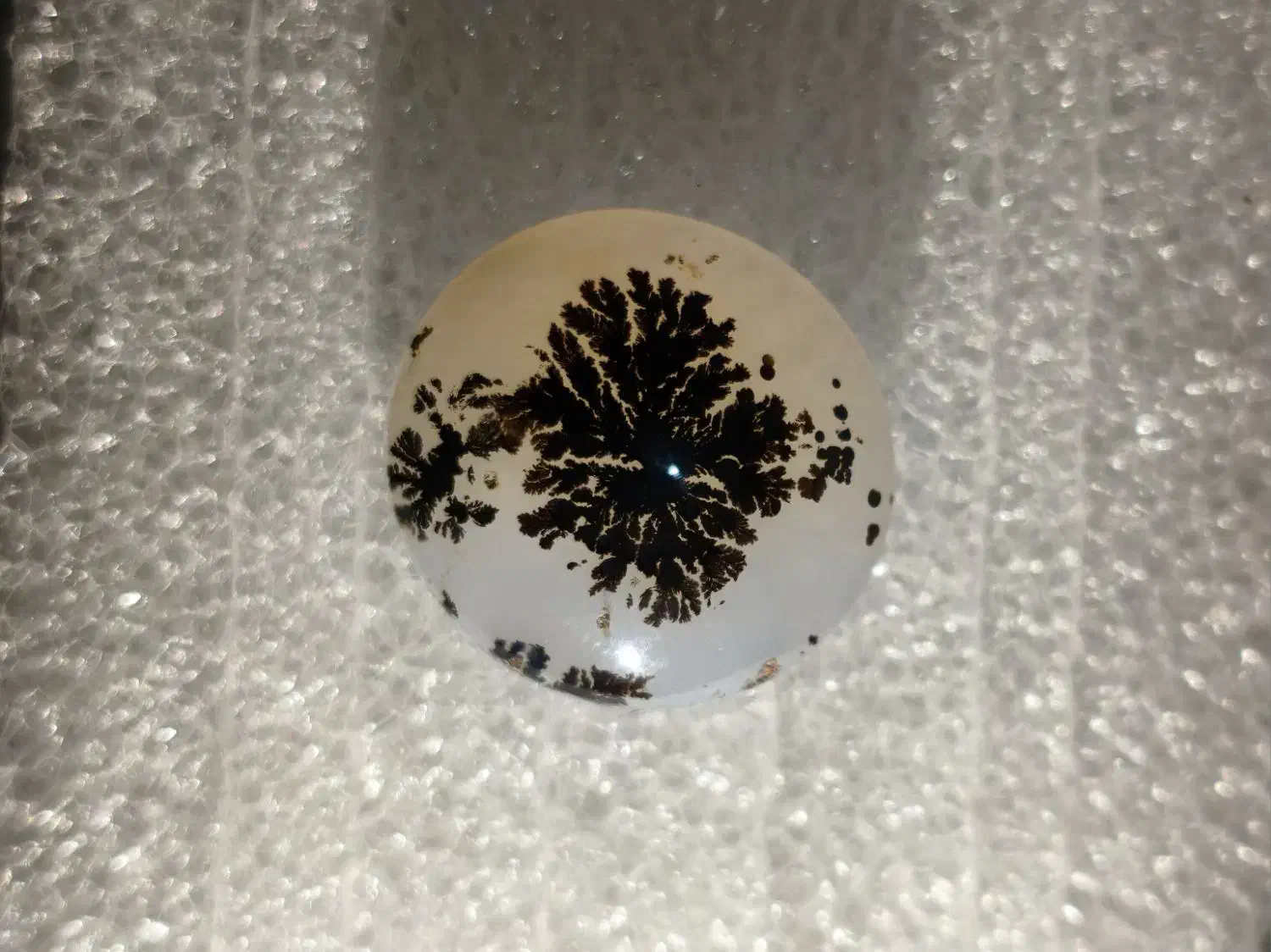 سنگ شجر تک درخت|کلکسیون اشیاء عتیقه|کرمانشاه, |دیوار