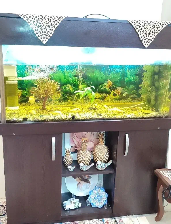 آکواریوم کامل|ماهیگیری|تهران, نظام‌آباد|دیوار