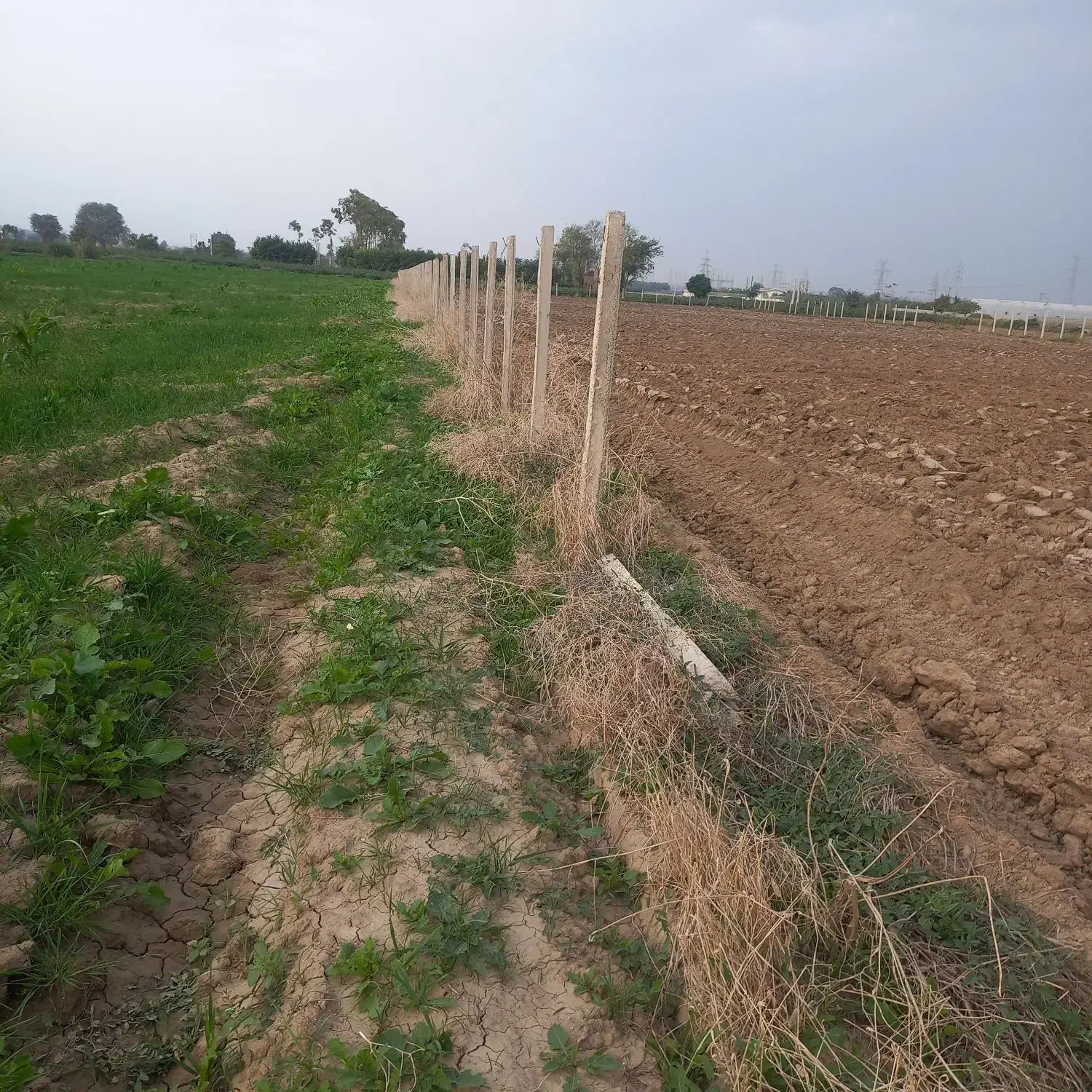 پایه فنس|مصالح و تجهیزات ساختمان|گرگان, |دیوار