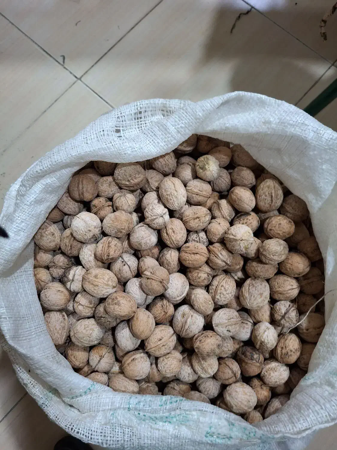 گردو|خوردنی و آشامیدنی|خرم‌آباد, |دیوار