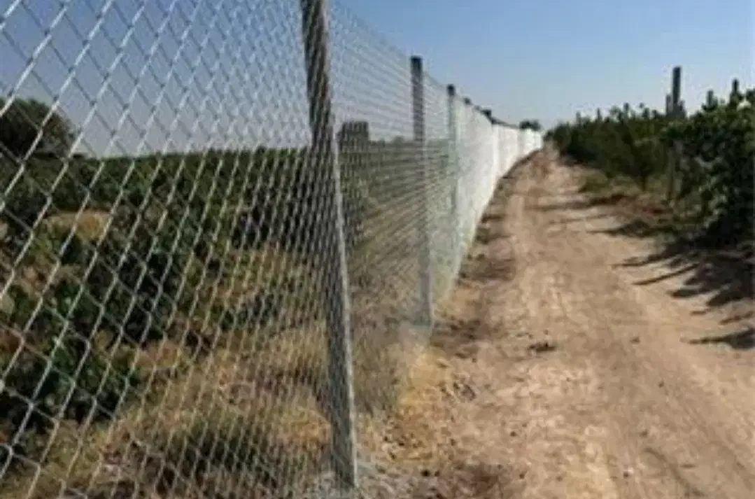 چاله کن و فنس کشی باغات|خدمات باغبانی و درختکاری|بانه, |دیوار