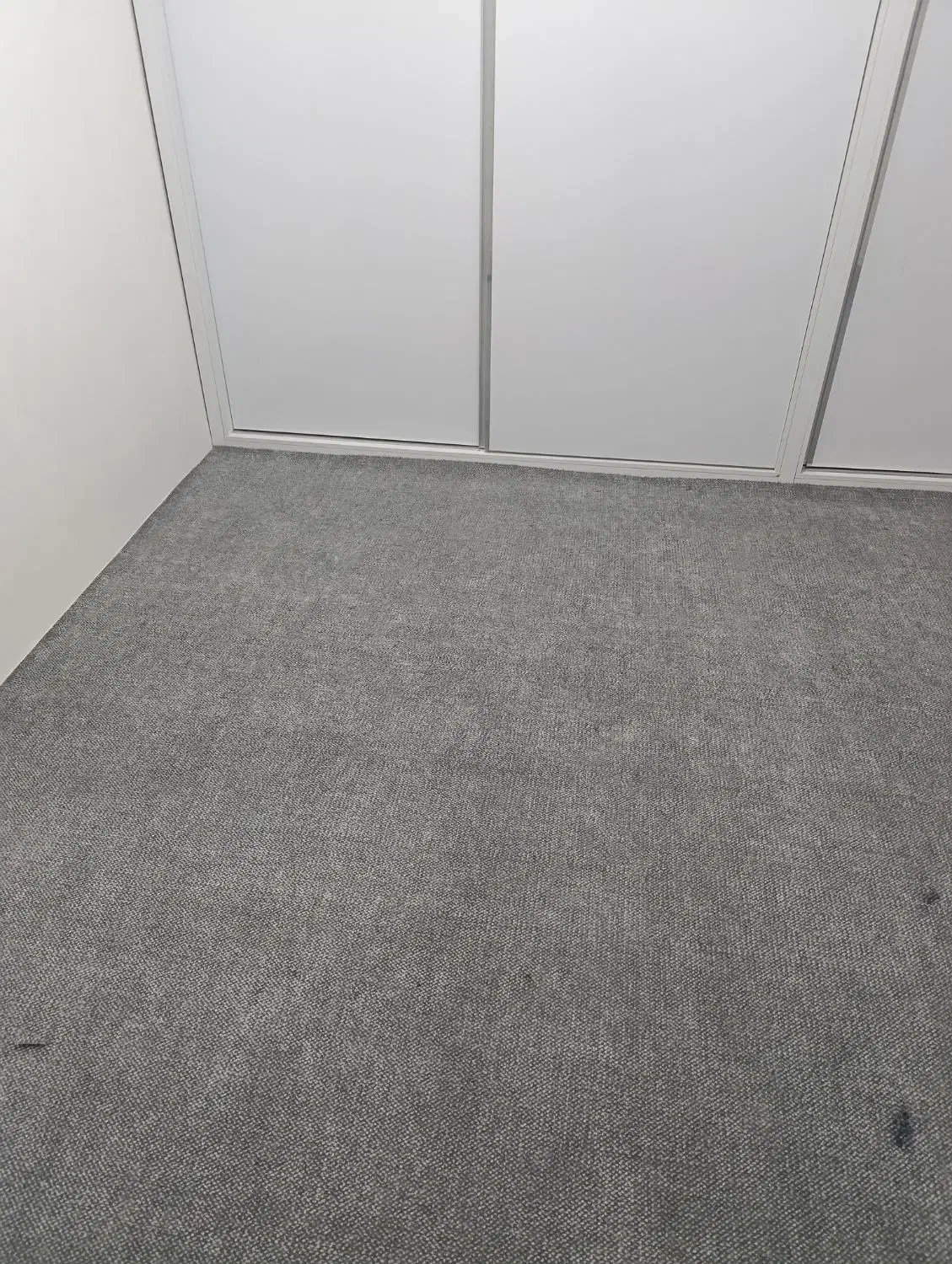 موکت دو لایه  زخیم|موکت|تبریز, |دیوار