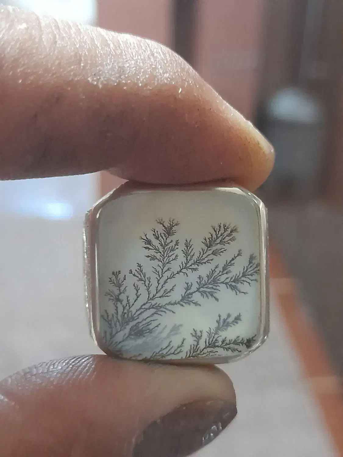 انگشتر شجر ککسیونی|بدلیجات|کرمانشاه, |دیوار