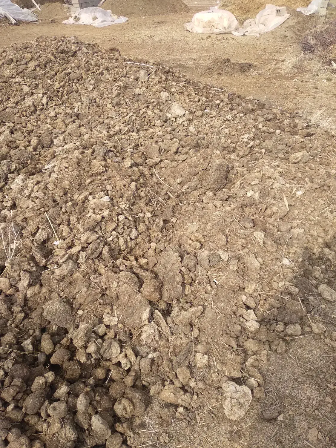 کود حیوانی|لوازم جانبی حیوانات|نوشین شهر, |دیوار