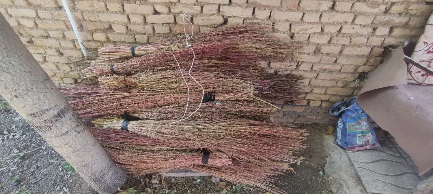 جارو باغی|لوازم نظافت|شهرکرد, |دیوار