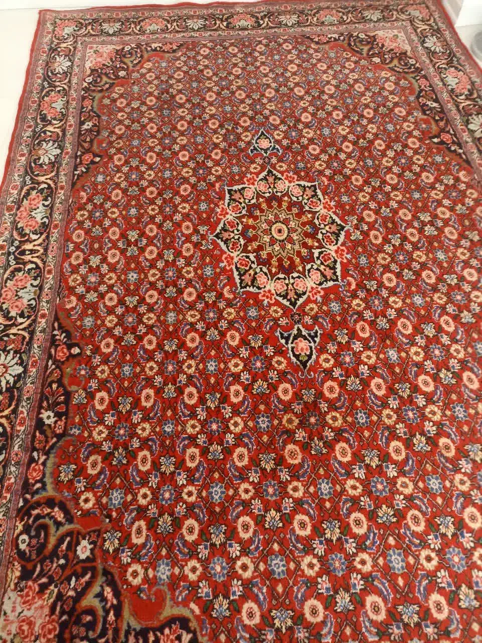 فرش دستباف|فرش|بهار, |دیوار