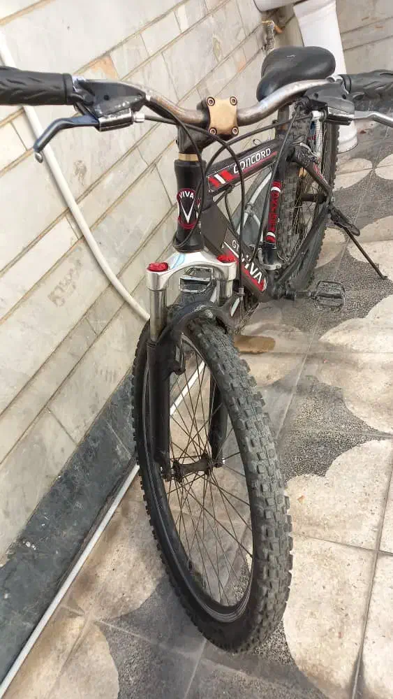 دوچرخه|دوچرخه، اسکیت، اسکوتر|شیراز, تندگویان|دیوار