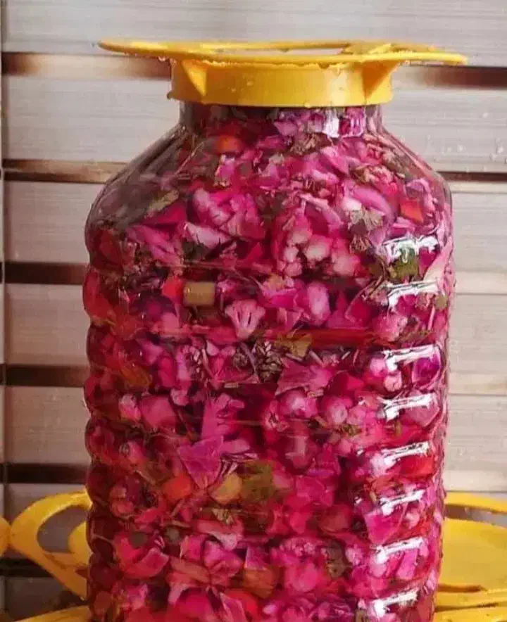 ترشی کلم|حراج|لنگرود, |دیوار