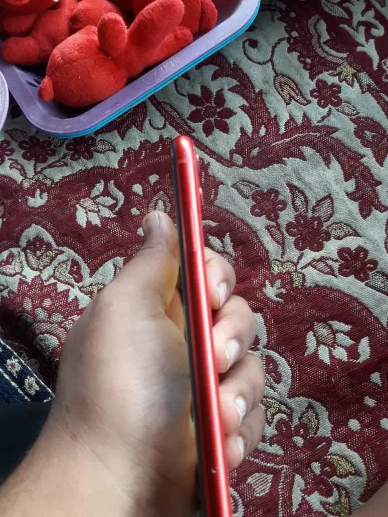 ایفون 11|موبایل|شادگان, |دیوار