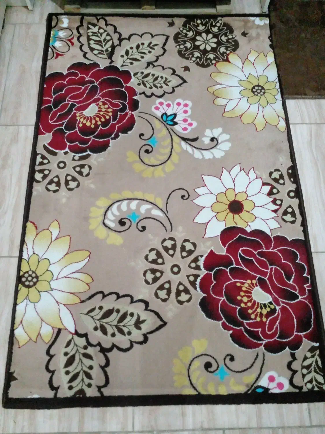 دوعدد گلیم کاملا سالم|گلیم، جاجیم، گبه|لنگرود, |دیوار