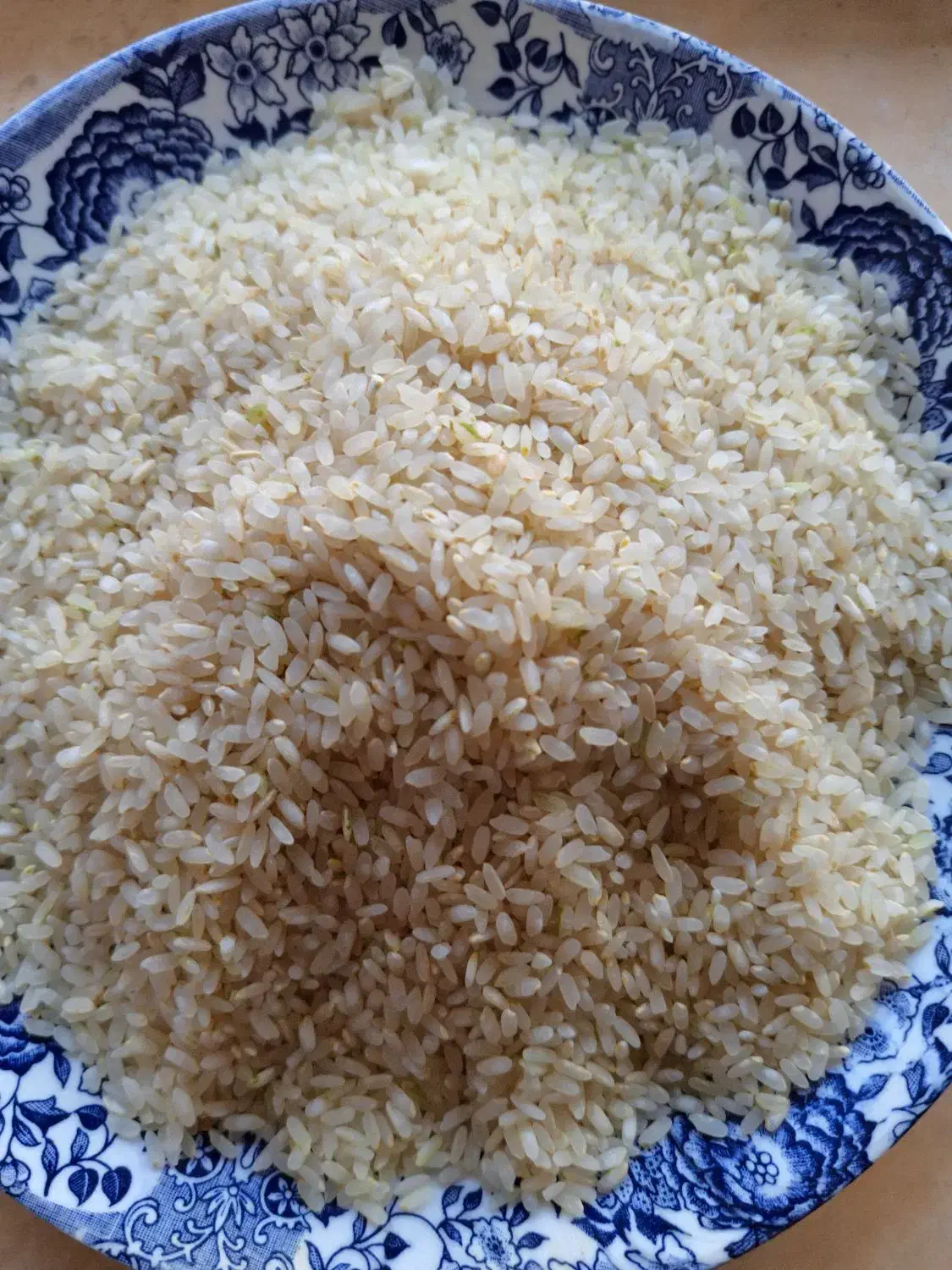 لوبیا چیتی و برنج کامفیروز|خوردنی و آشامیدنی|یزد, |دیوار