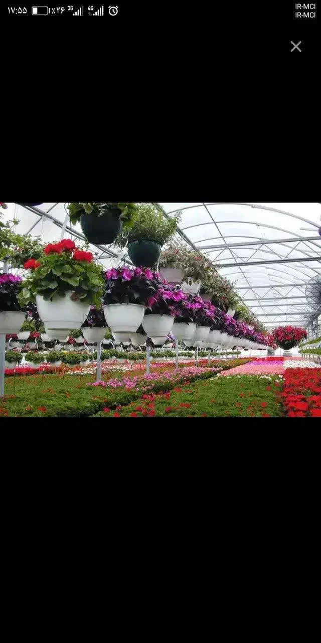 کلیه خدمات باغبانی منازل پذیرفته می شود|خدمات باغبانی و درختکاری|قم, زینبیه|دیوار