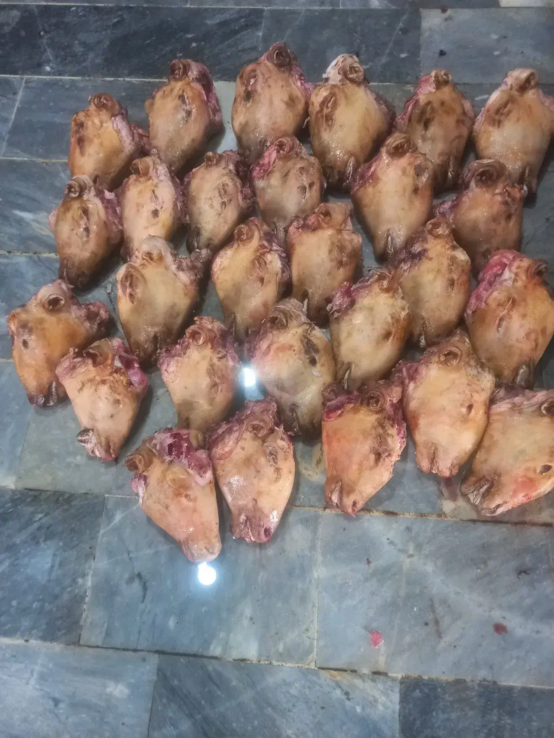 کله پاچه شیشک|خوردنی و آشامیدنی|تهران, صادقیه|دیوار