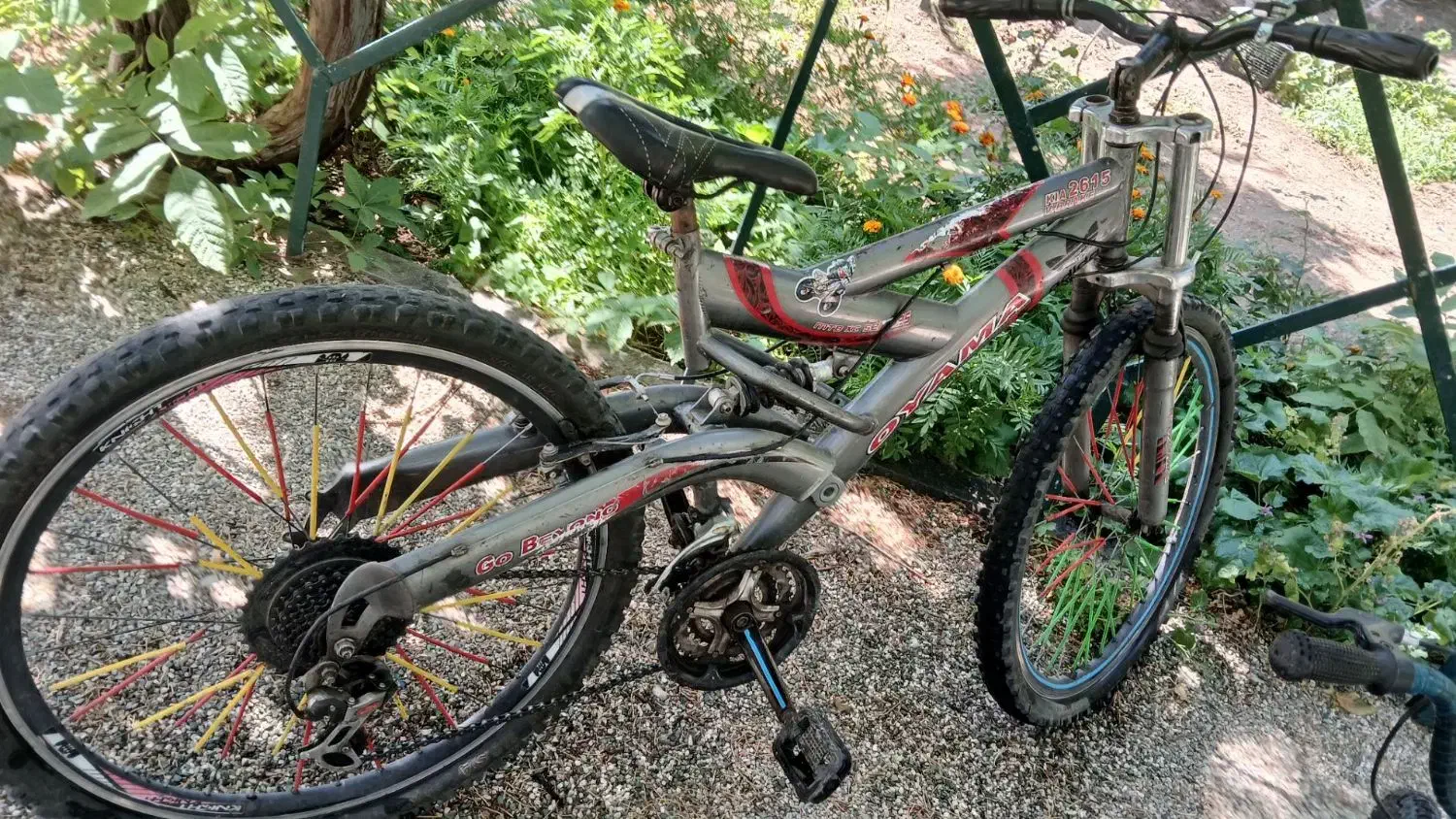 دوچرخه 24 یا26|دوچرخه، اسکیت، اسکوتر|دماوند, دماوند|دیوار