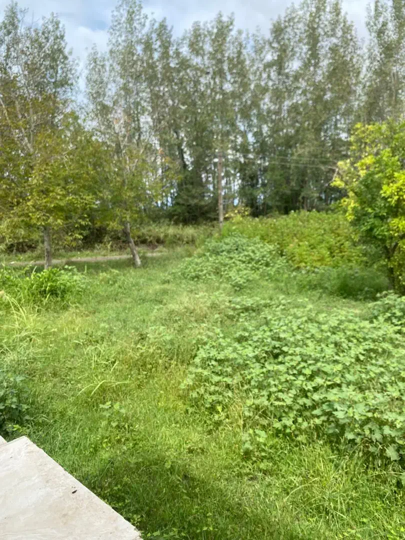 ویلا  شیک مدرن در دل روستا|فروش خانه و ویلا|رشت, حمیدیان|دیوار