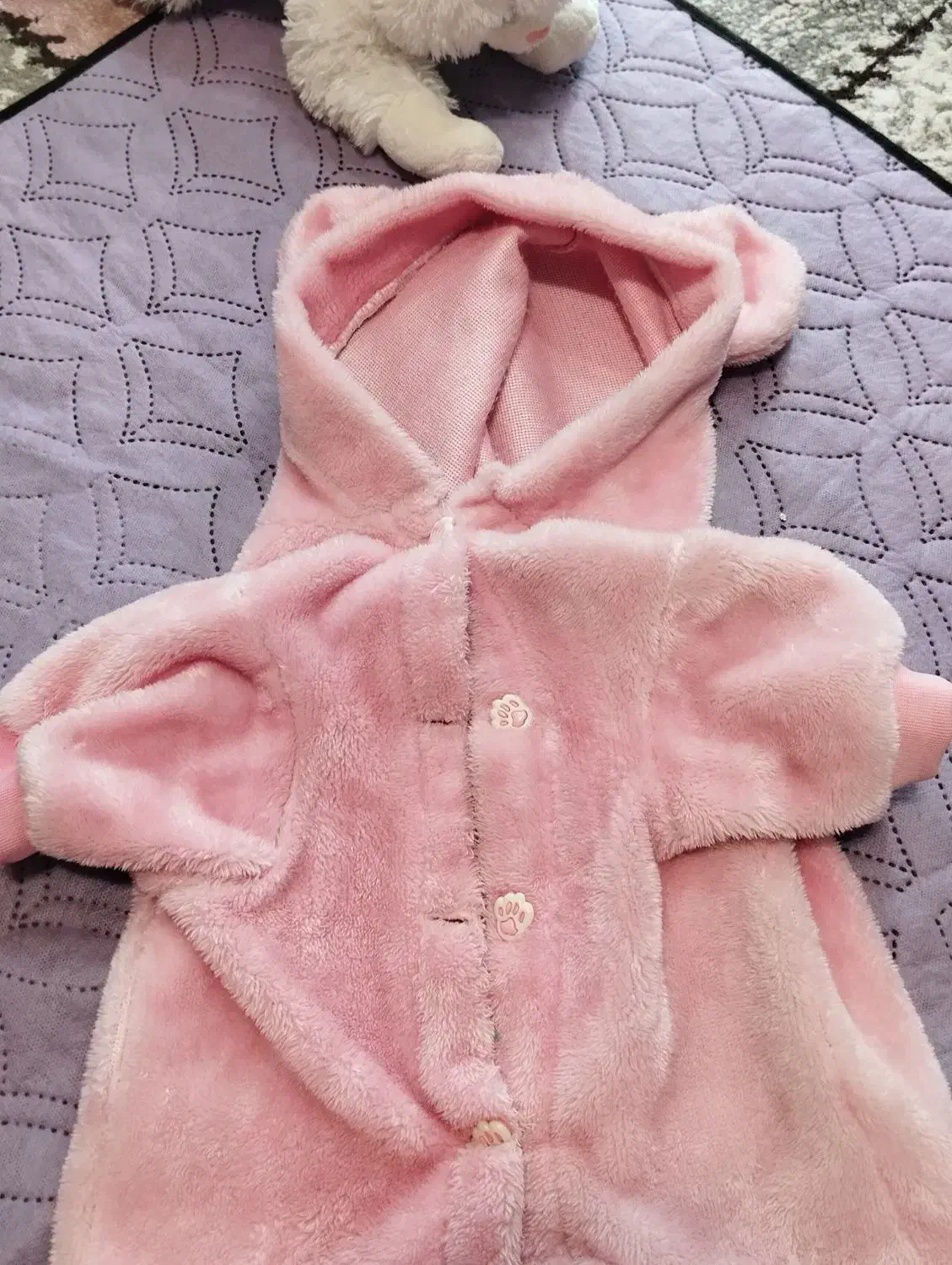 لباس سگ|لوازم جانبی حیوانات|تهران, هفت حوض|دیوار