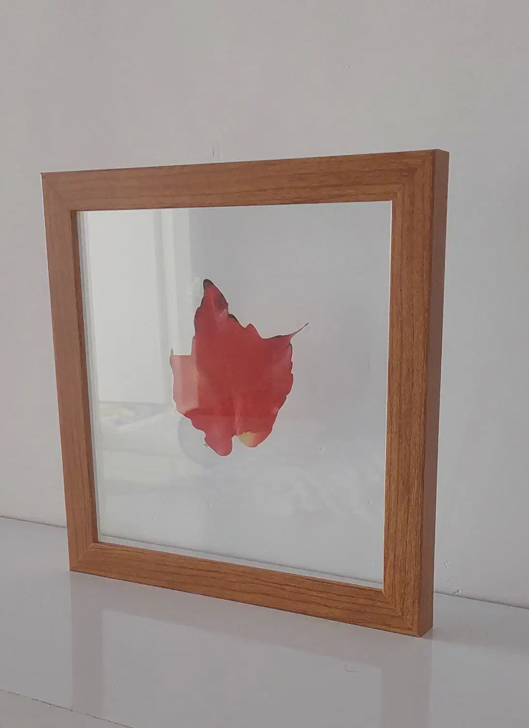 تابلو زیبا برگ پاییزی|تابلو، نقاشی، عکس|بیرجند, |دیوار