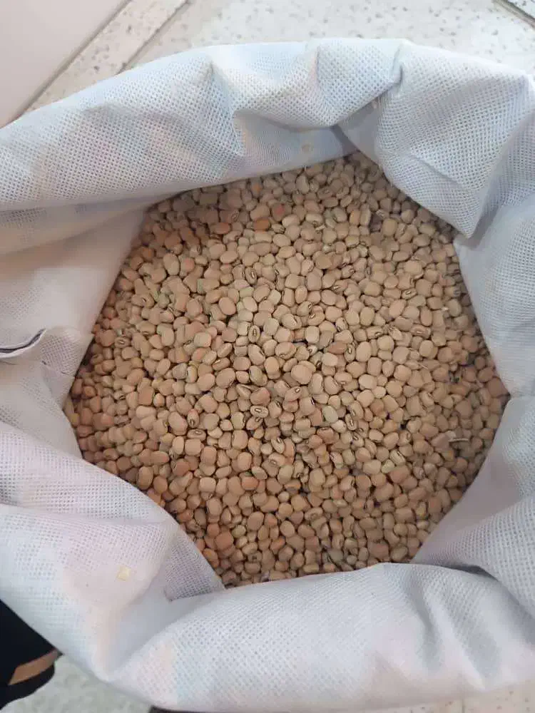 لوبیا آشی|حراج|دره شهر, |دیوار