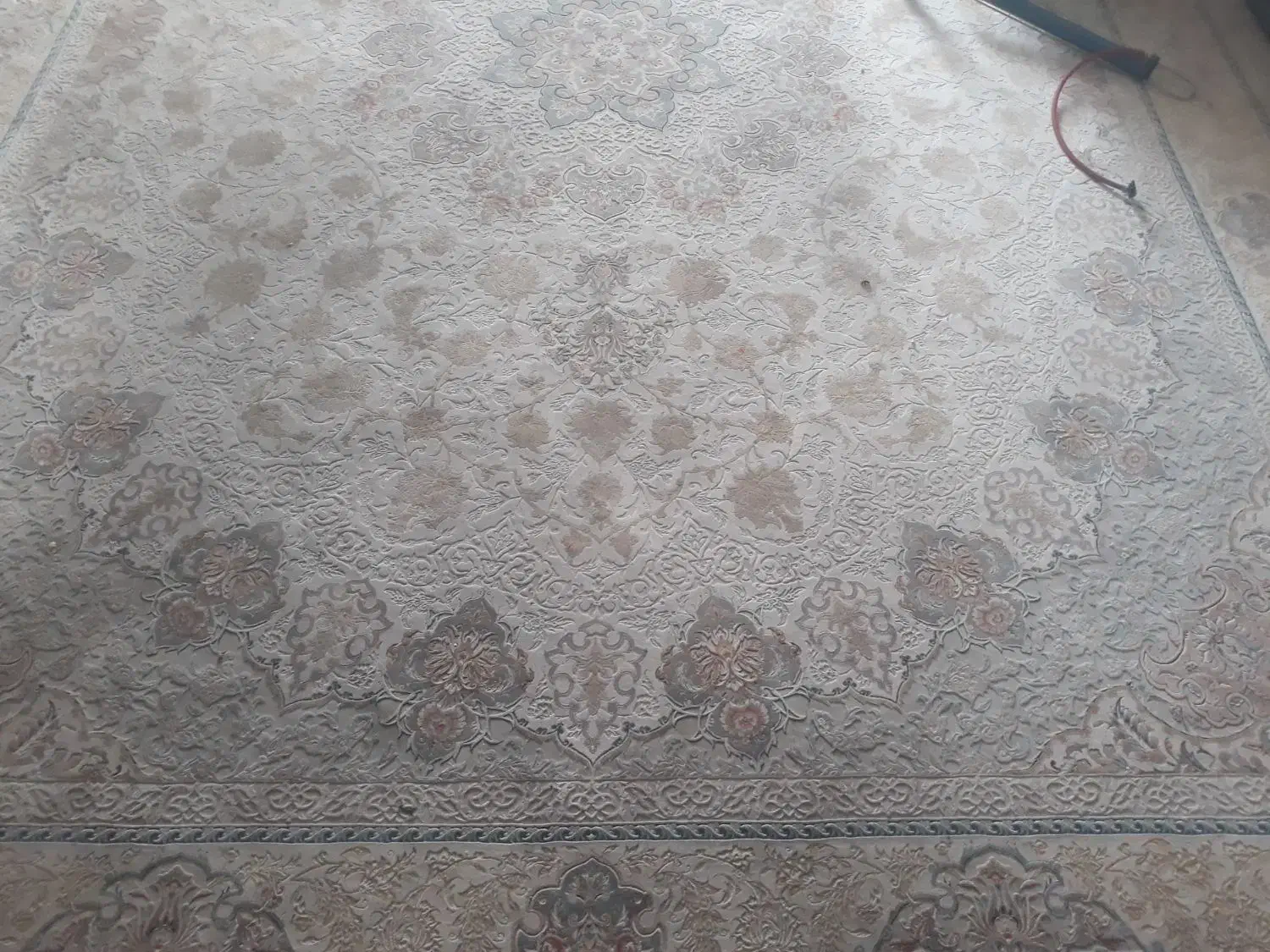 فرش ۱۲ متری نخ تورک|فرش|مبارکه, |دیوار