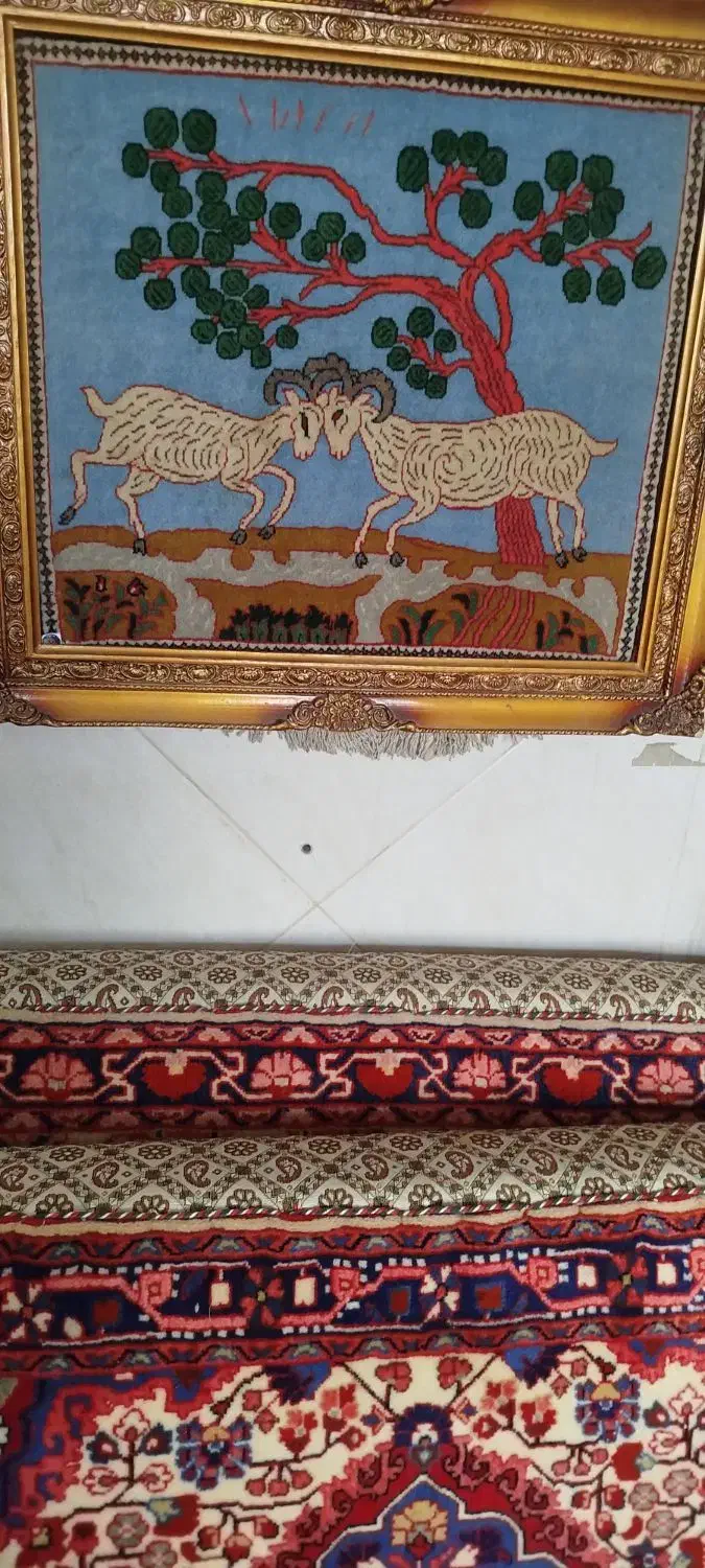 پشتی های دست بافت نقشه جوزان نفیس درحدنو|فرش|ملایر, |دیوار