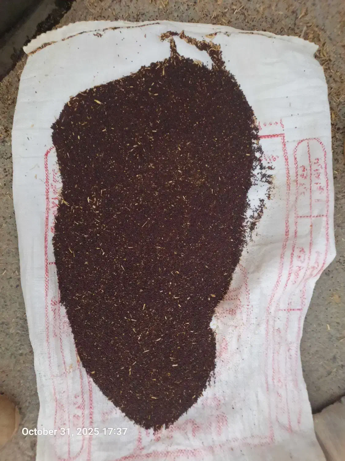 فروش کلزا|گل و گیاه طبیعی|دره شهر, |دیوار