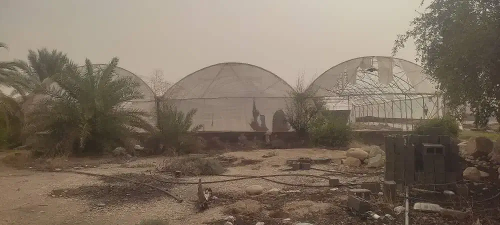 گلخانه/باغ ویلا|فروش دفتر صنعتی، کشاورزی، تجاری|اهرم, |دیوار