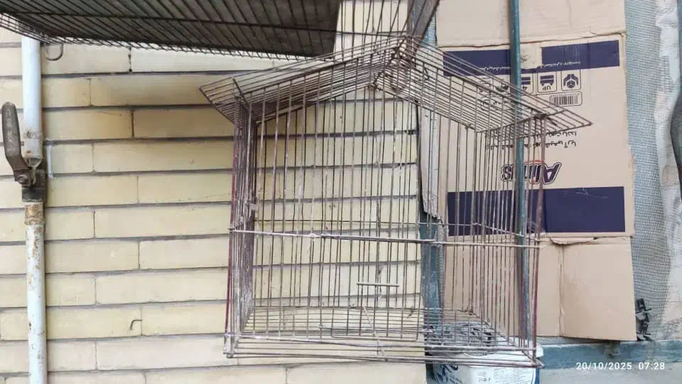 قفس پرنده فقط ۳۰۰ تومن مقطوع|لوازم جانبی حیوانات|خرمشهر, |دیوار