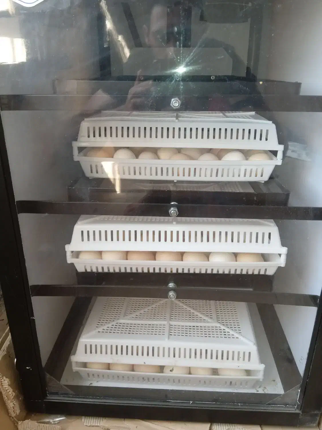 دستگاه جوجه کشی دورنا 2اسکندری|لوازم جانبی حیوانات|یاسوج, |دیوار