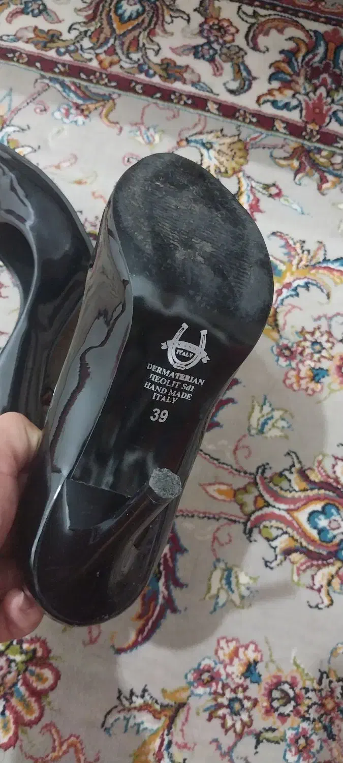 کفش|کیف، کفش، کمربند|پرند, فاز ۶|دیوار