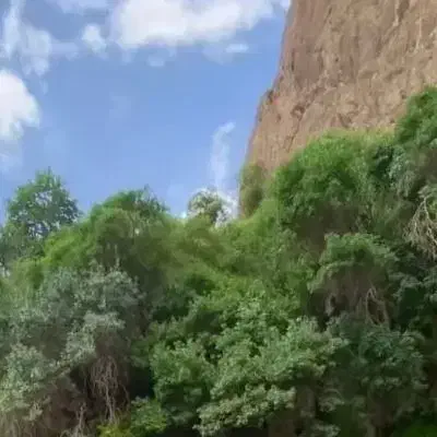 فروش چهارقطعه زمین ملک واقع در عیش اباد پشت باسکول|فروش زمین و ملک کلنگی|رفسنجان, |دیوار