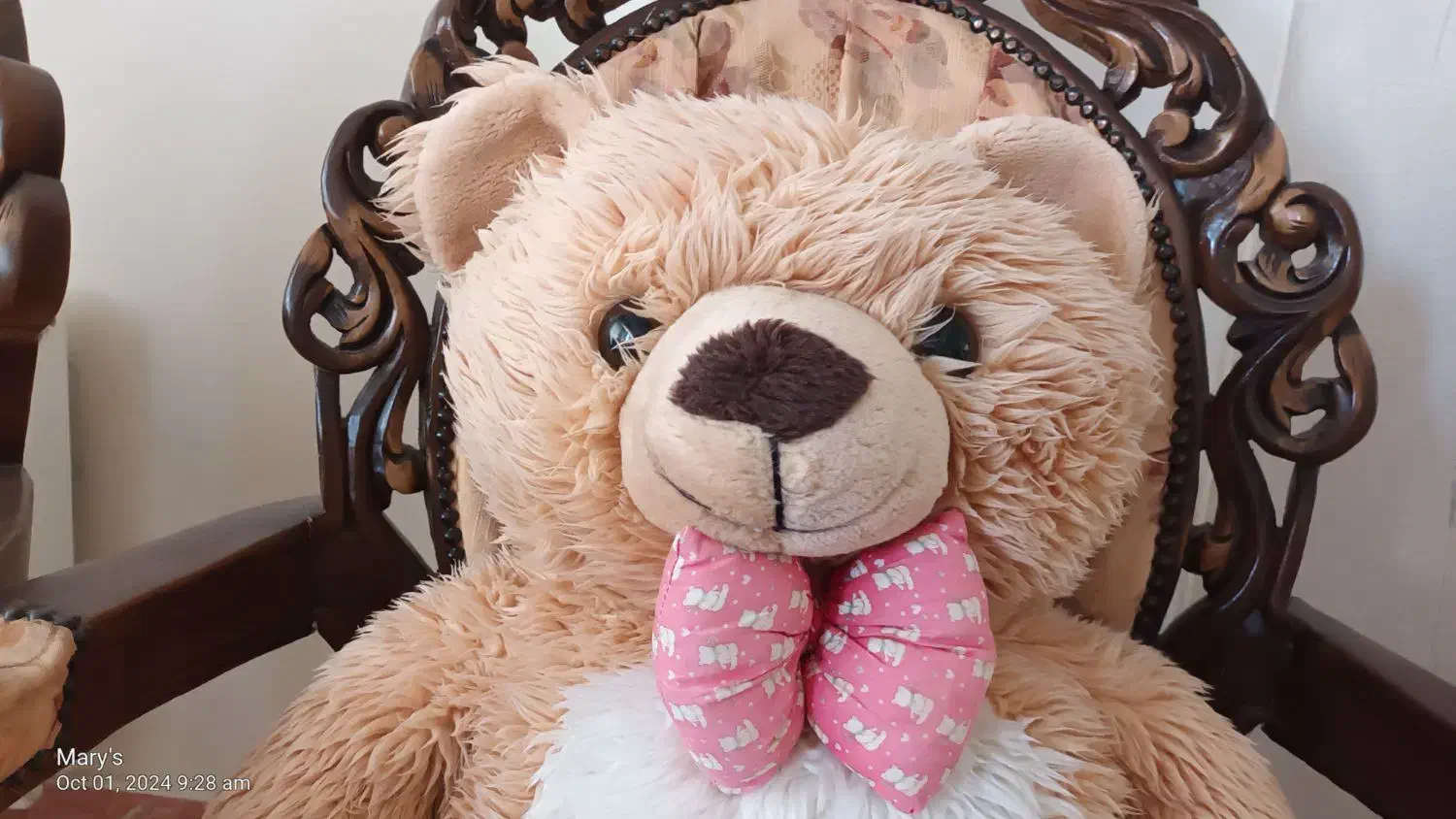 تدی خرسه|اسباب‌‌بازی|تهران, گلستان (شهرک راه آهن)|دیوار