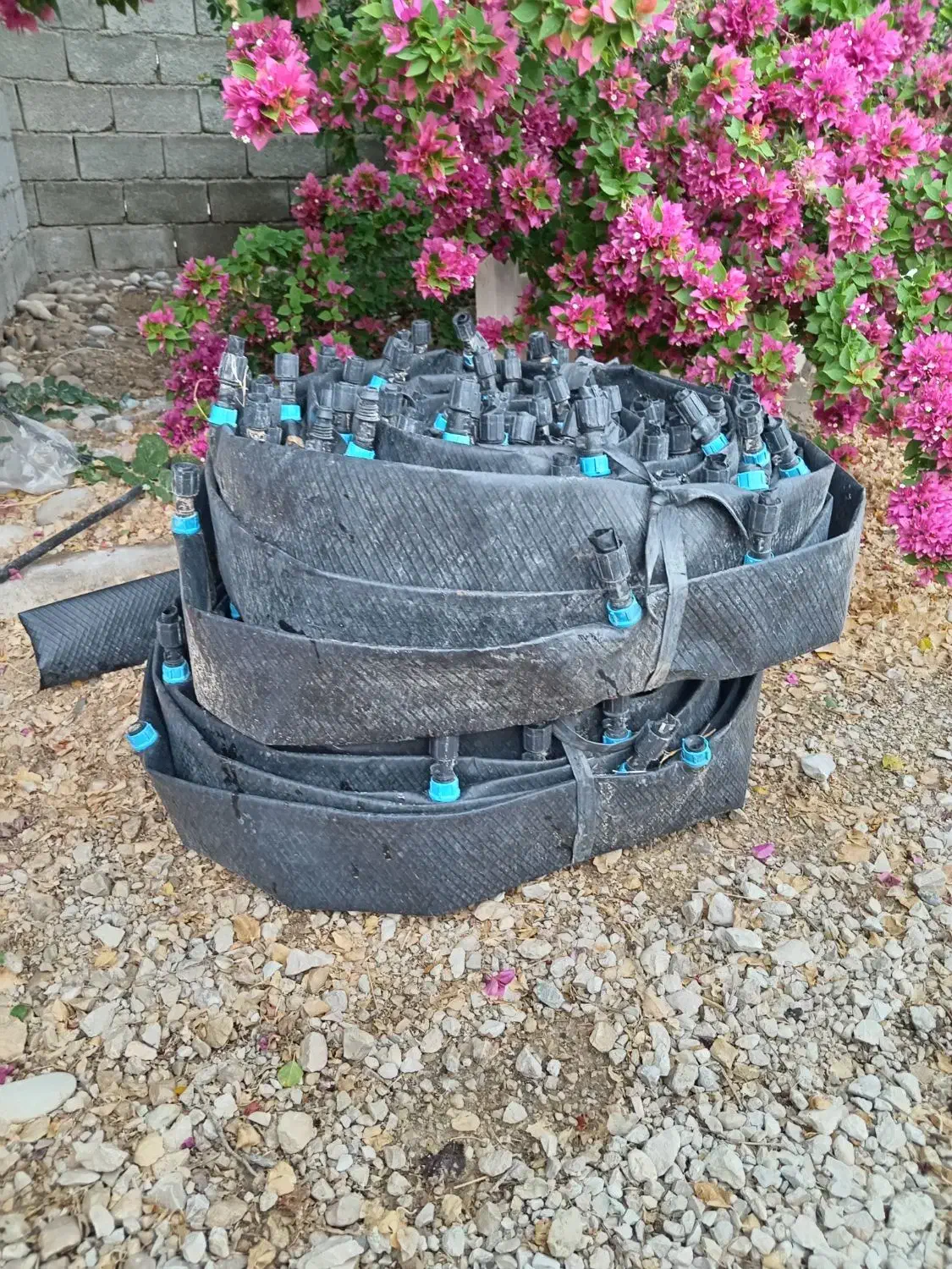 فروش لوله نخدار 2/5|خدمات باغبانی و درختکاری|برازجان, |دیوار