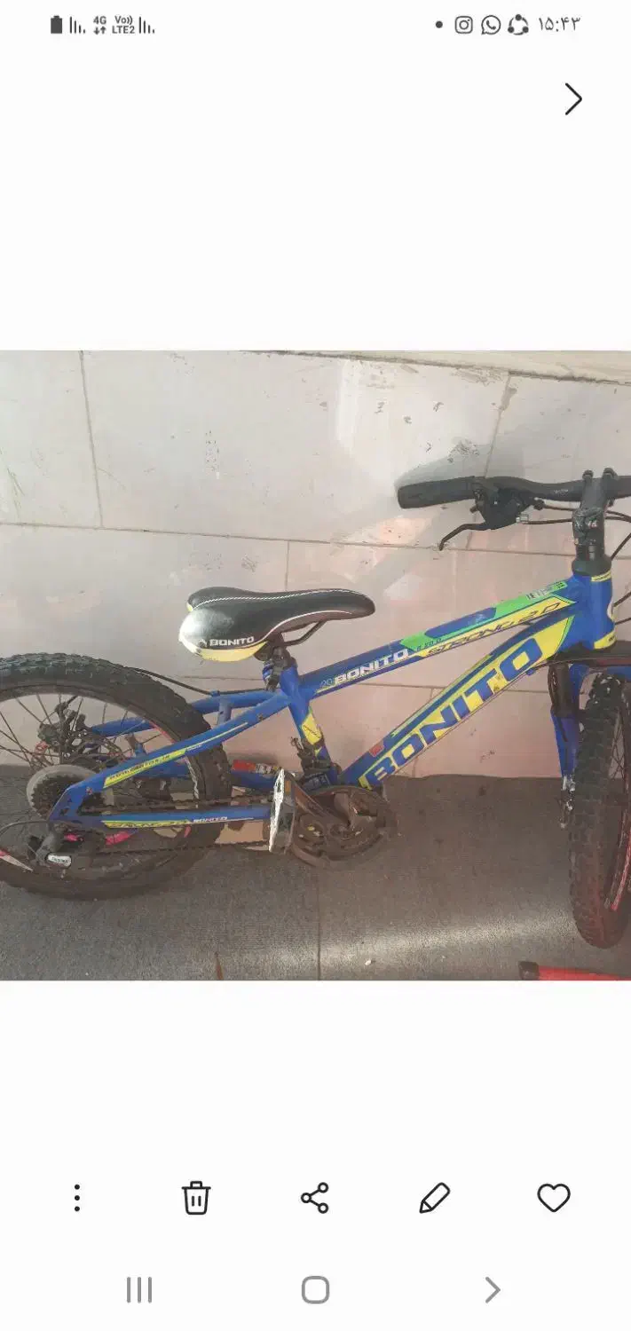 دوچرخه در حد نو فروشی|دوچرخه، اسکیت، اسکوتر|بندر انزلی, معلم|دیوار