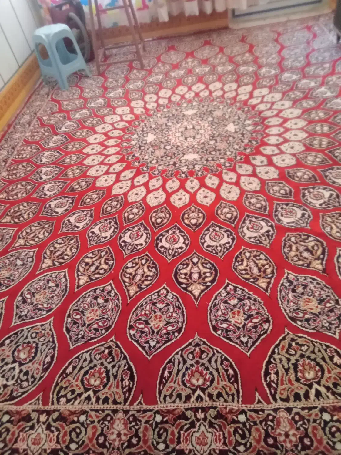 فرش دوازده متری|فرش|تاکستان, |دیوار