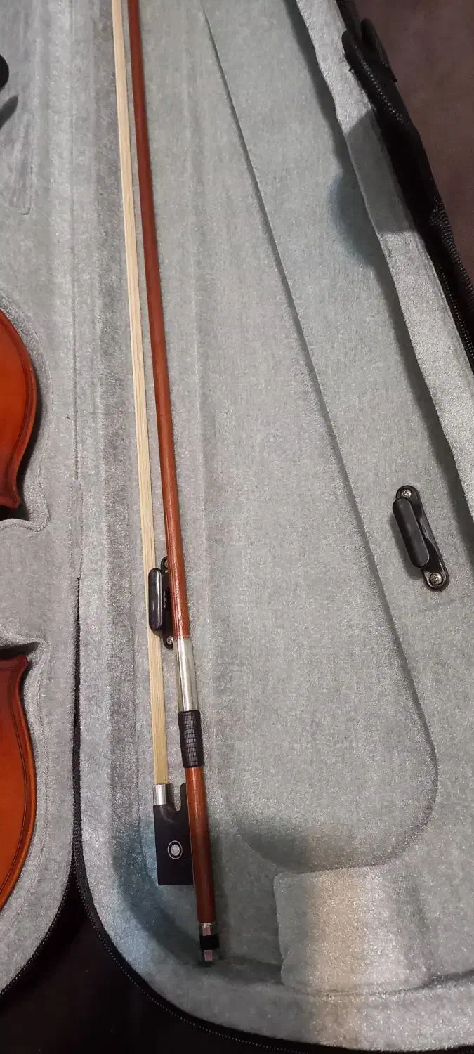 ویولن تی اف استیودنت (TF student)|ویولن|کرج, فاز ۳ گوهردشت|دیوار