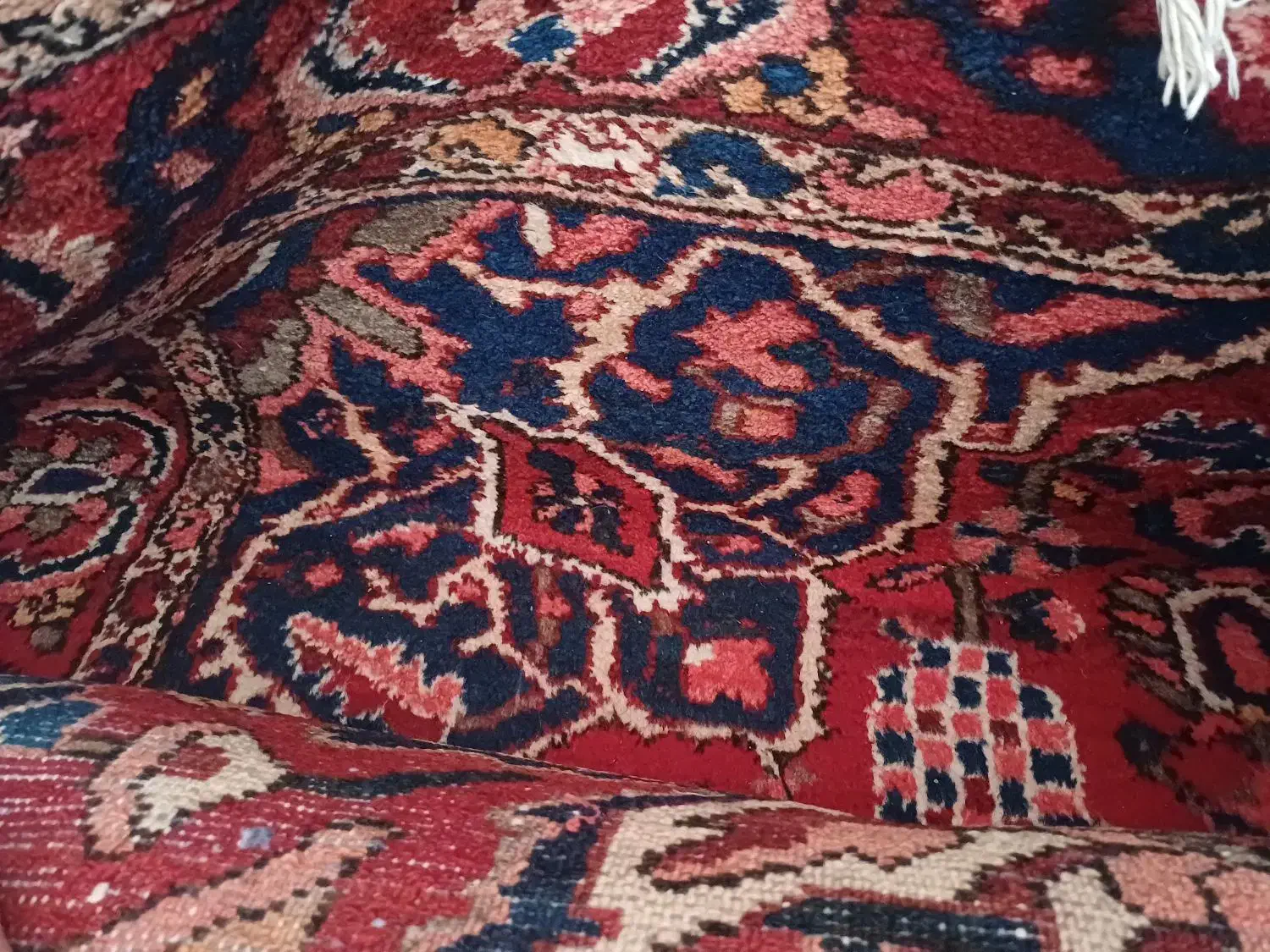 فرش دستبافت ۶متری|فرش|فرخشهر, |دیوار