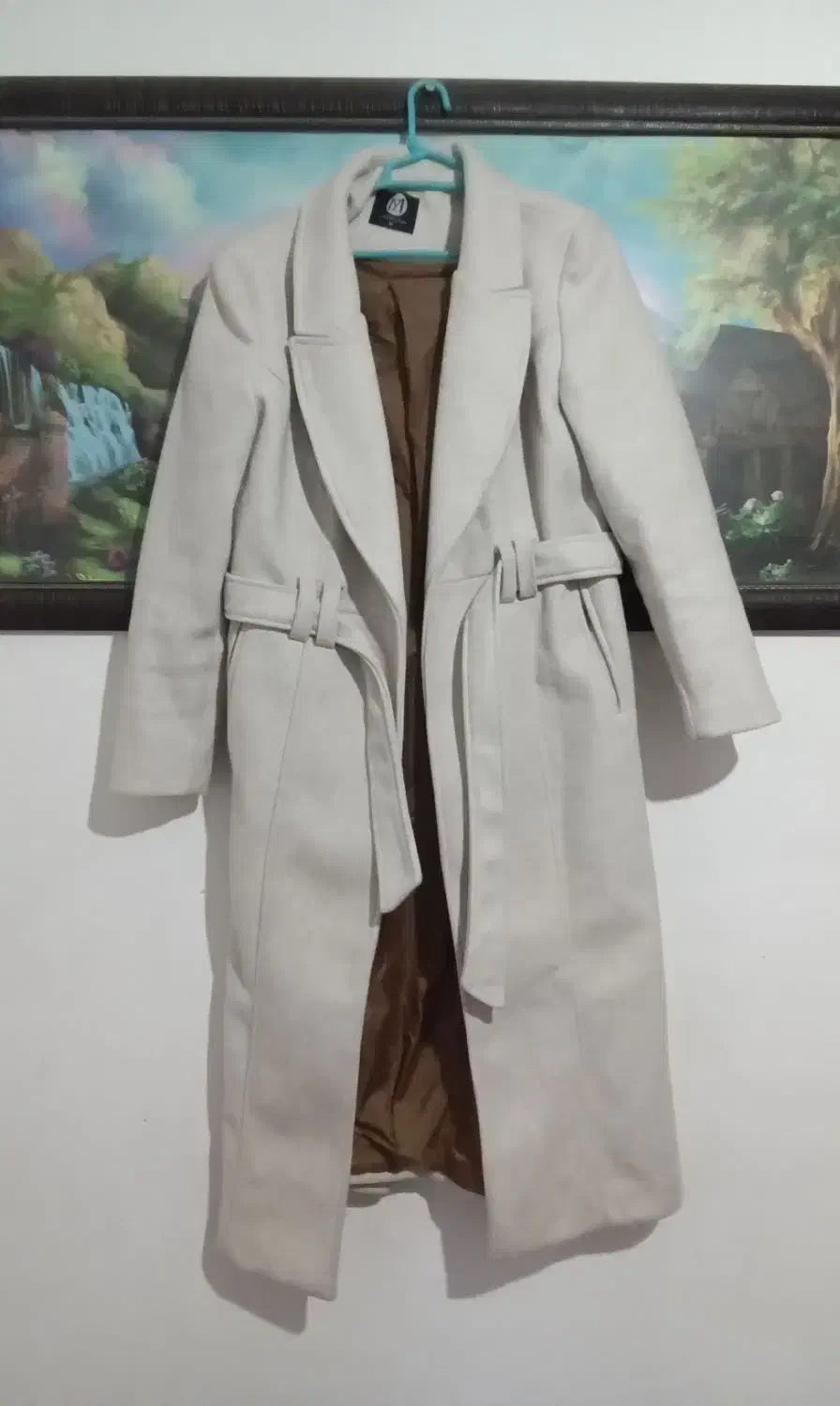 پالتو نو پوشیده نشده|لباس|مشگین شهر, |دیوار