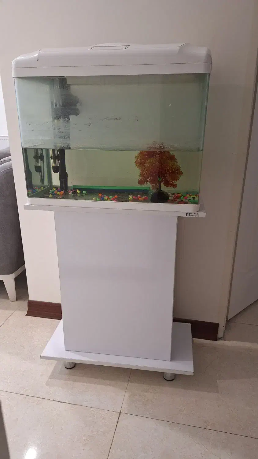 آکواریوم|ماهی|تهران, والفجر (افسریه)|دیوار