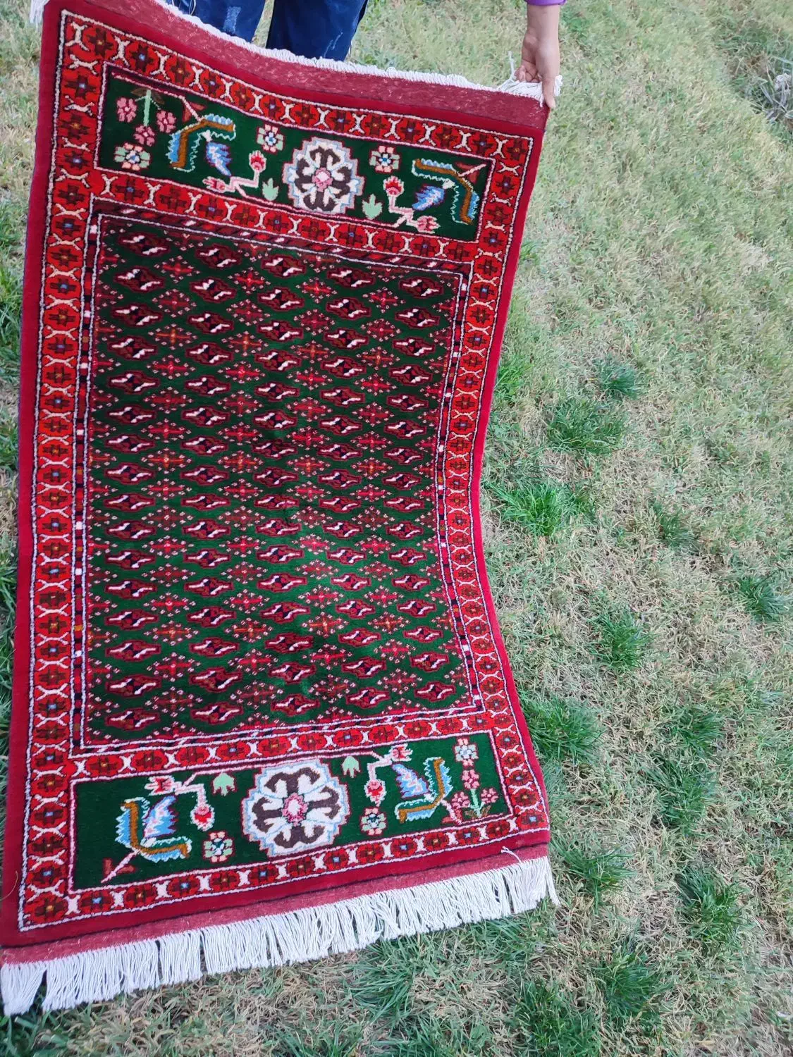 گلیم و قالیچه دستبافت|گلیم، جاجیم، گبه|شیراز, بازار|دیوار