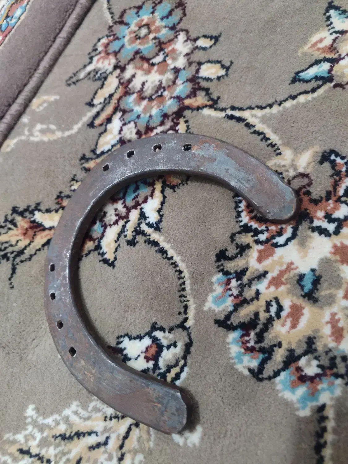 نعل اسب بزرگ|اسب و تجهیزات اسب‌سواری|میبد, |دیوار