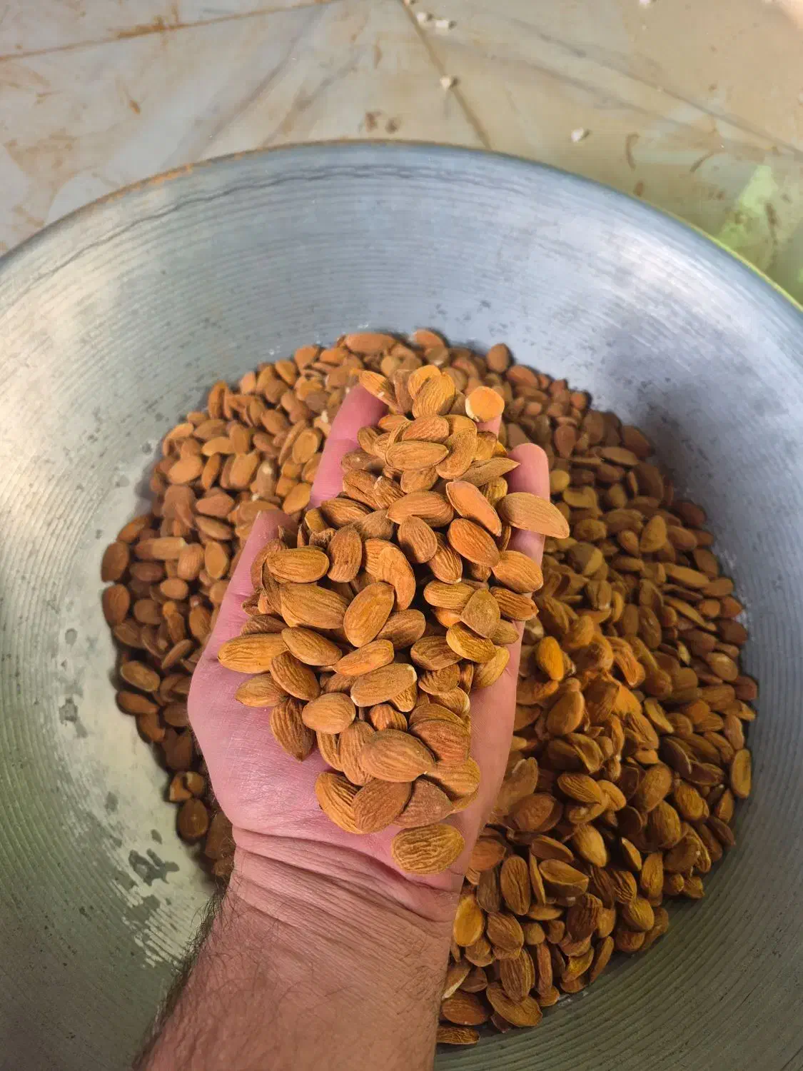 فروش بادام|عمدهفروشی|بن, |دیوار