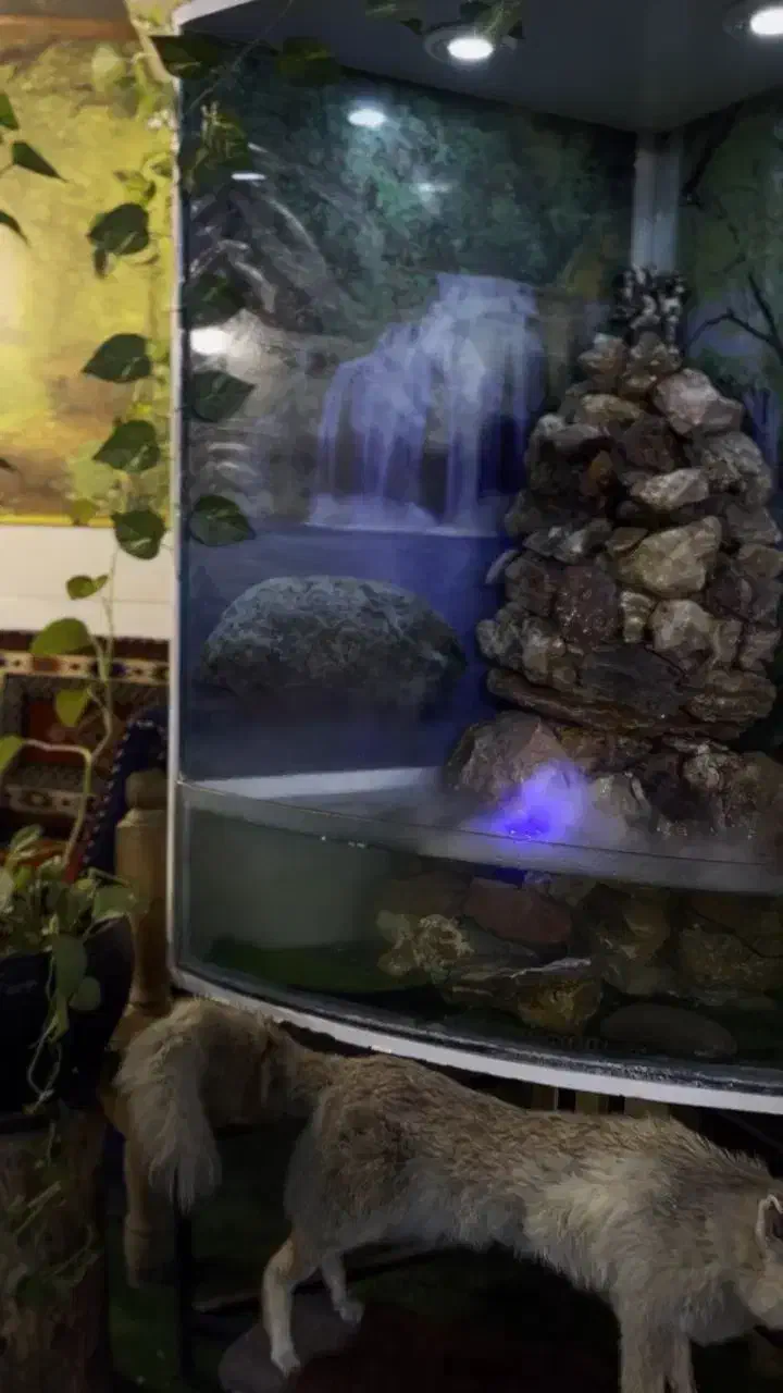 واگذاری قهوخانه شراکت هم قبول میکنم باماشین میزتم|اجارهٔ مغازه و غرفه|قم, آذر (نکویی)|دیوار