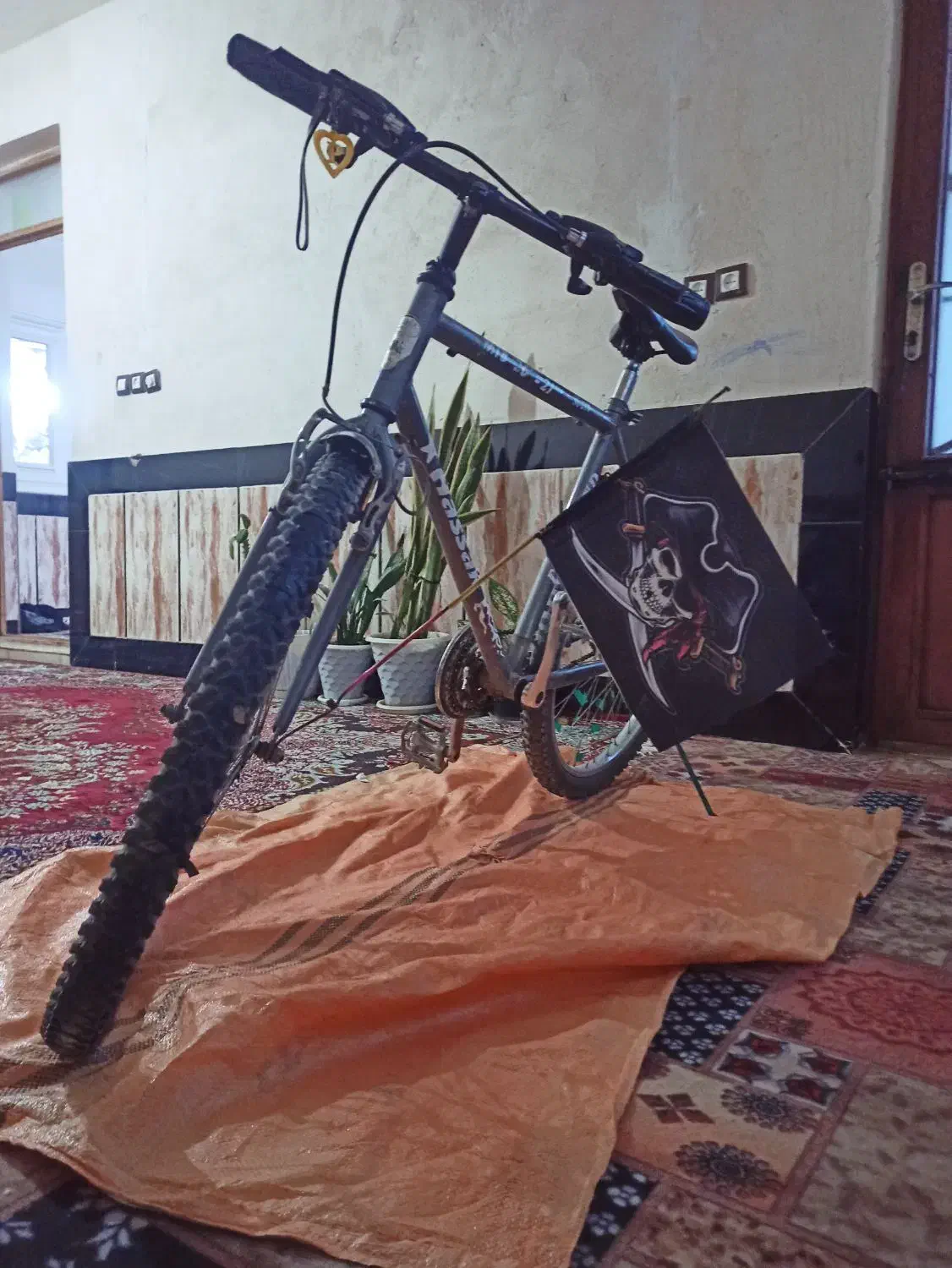 دوچرخه ۲۶ عروسک در حد نو|دوچرخه، اسکیت، اسکوتر|گنبد کاووس, |دیوار